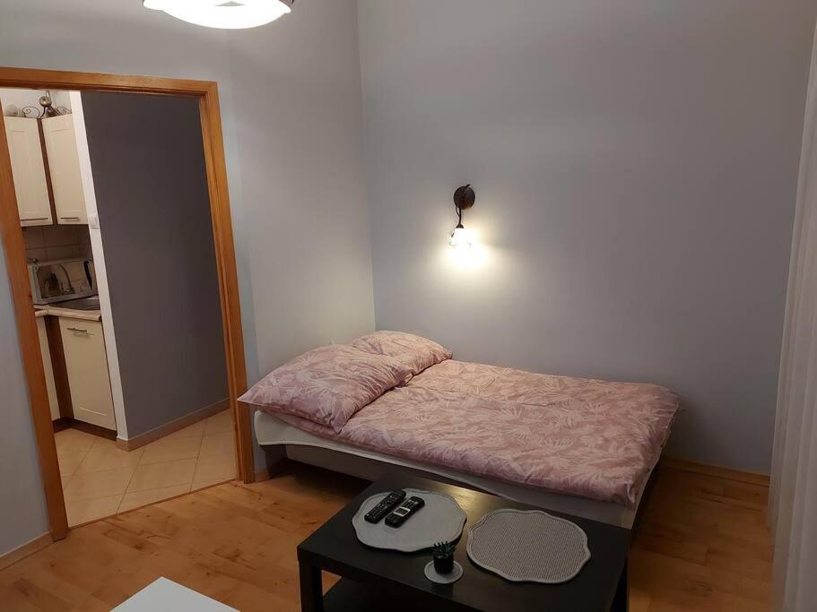 Homelyapartment Cracovia Esterno foto