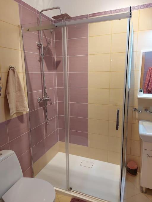 Homelyapartment Cracovia Esterno foto